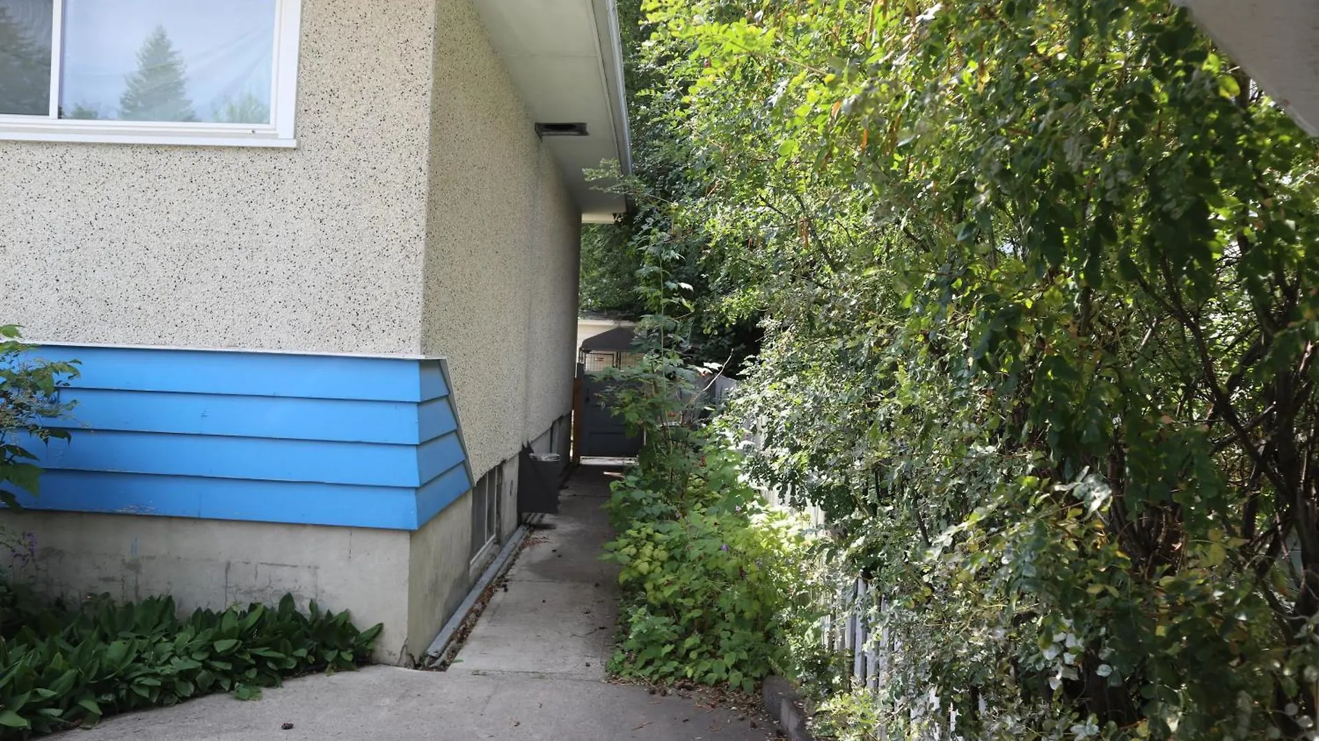 Calgary'S Home Cinema Retreat 0*, 卡加利